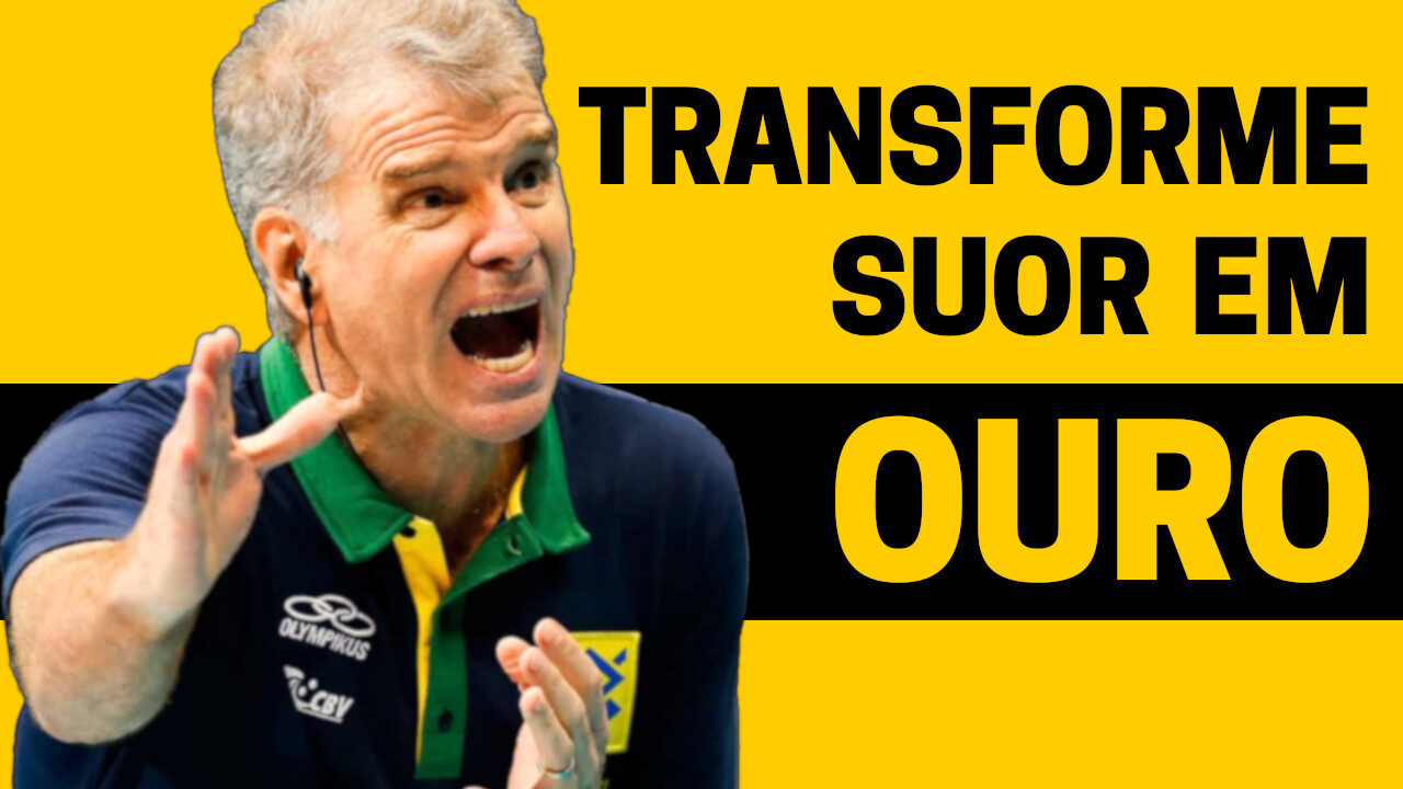 Bernardinho | Transformando Suor em Ouro | Resumo Animado Completo