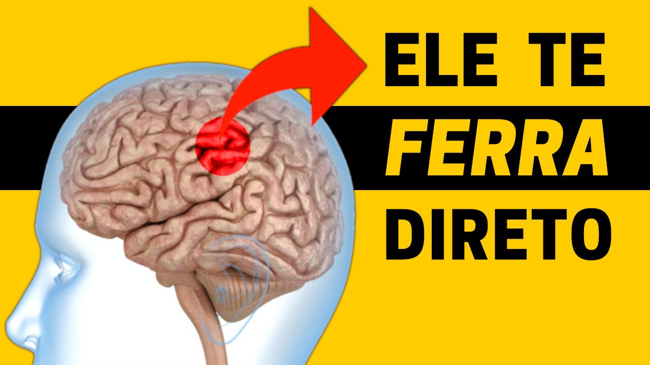 Viés Cognitivo | Como Seu Cérebro Te Leva a Decisões Erradas